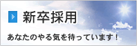 新卒採用
