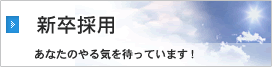新卒採用