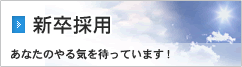 新卒採用